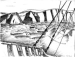 NORVEGE_14_210x270