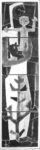 arbre-de-vie_2000x500_v1_1966